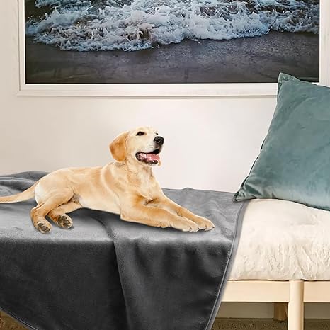R0BTECH Dog Blanket Washable for Puppy: 4 Packs Dog Blankets 40”x28” - Fluffy Soft Small Throw for Cat Puppy Kitten Dogs - Fleece Pet Blankets for Bed Sofa Car and Indoor - Grey and Khaki