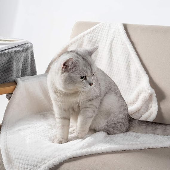 R0BTECH Warm Soft Fuzzy Dog or Cat Blanket, Plush Fleece Throws for Puppy, Kitten, Medium, Large Dogs - Ivory (S/24" x 32")