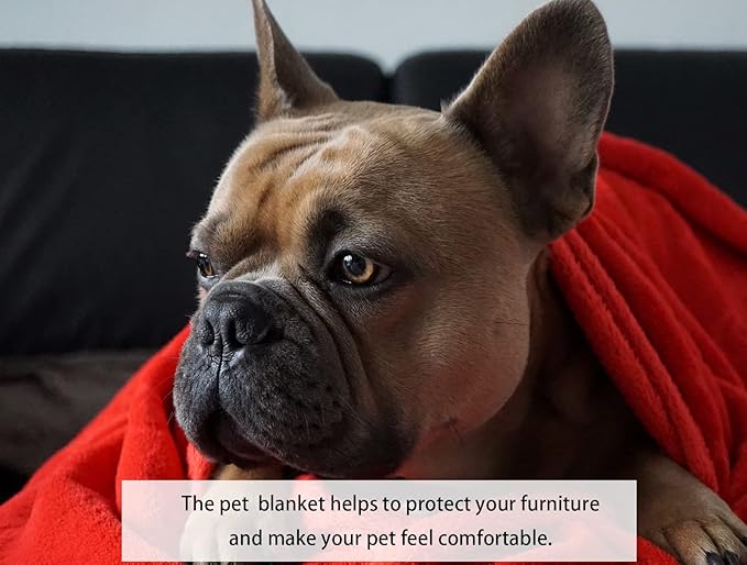 R0BTECH Soft Puppy Flannel Fleece Blanket for Pet Dog Cat, Plush Microfiber, Cozy and Lightweight, Light Purple, Pet, 19 x 27 inch (50 x 70 cm)