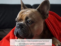 R0BTECH Soft Puppy Flannel Fleece Blanket for Pet Dog Cat, Plush Microfiber, Cozy and Lightweight, Light Purple, Pet, 19 x 27 inch (50 x 70 cm)