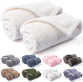 R0BTECH Warm Soft Fuzzy Dog or Cat Blanket, Plush Fleece Throws for Puppy, Kitten, Medium, Large Dogs - Ivory (S/24" x 32")