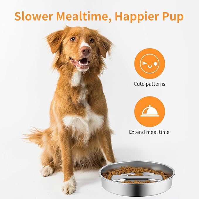 R0BTECH Novery Slow Feeder Dog Bowl - 2 Cups Stainless Steel Dog Slow Feeder Food Bowl, Metal Non-Slip Lick Plate,Puppy or Cat Food Holder,Pet Supplies,Puzzle Maze Dish for Medium Sized Breeds