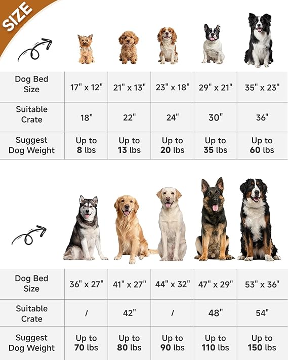 R0BTECH Washable Dog Bed Deluxe Plush Dog Crate Beds Comfy Kennel Pad Anti-Slip Pet Sleeping Mat for Large, Jumbo, Medium, Small Dogs Breeds, 35" x 23", Gray