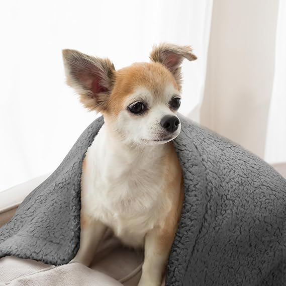 R0BTECH  Dog Blanket Soft Dog Blankets for Large Dogs Puppy Essentials Washable Sherpa Fleece Cat Blanket 32x40 Inches for Bed Furniture Couch Sofa (Medium, Grey)