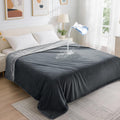R0BTECH Waterproof Blanket for Bed: Reversible Soft Flannel Twin Bed Blanket 60" x 80", Leakproof Throw Spill-Proof Dog Pet Blanket for Couch Cover, Movie Time, Camping, Travel, Grey