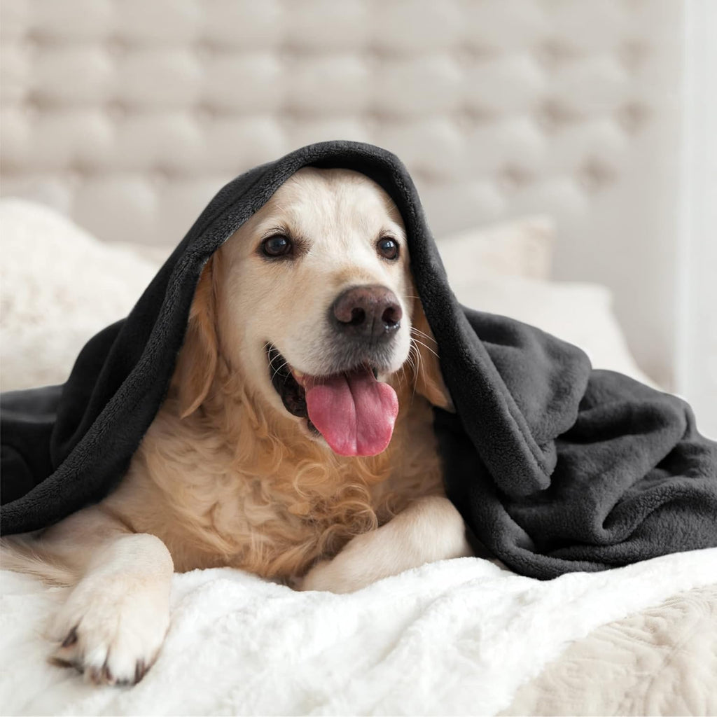 R0BTECH Fleece Blanket Black Throw Blankets for Couch & Bed, Luxury Plush Cozy Fuzzy Blanket 50x60 inches, Super Soft Warm Lightweight Throw Blanket for Travel Camping