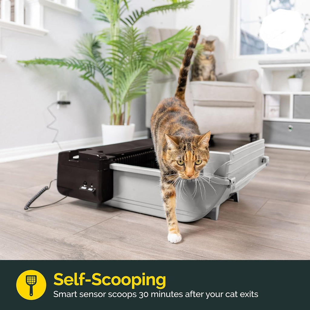R0BTECH Self Cleaning Semi Automatic Cat Litter Box - Smart Scoop Cat Litter Box with 18 Bags & Carbon Filter for Up to Two Cats 6-16 Pounds