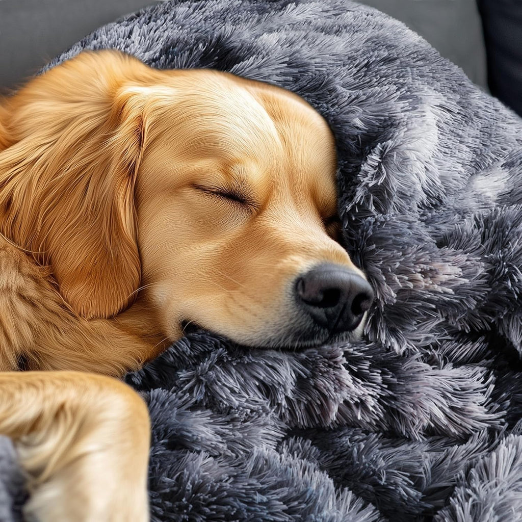 R0BTECH Large Waterproof Dog Blanket for Pet Washable Liquid Proof Bed Intimacy Protection Shaggy Plush Calming Long Faux Fur Couch Cover Calming Cat Throw Blankets, Tie-dye Grey, 50" x 60"