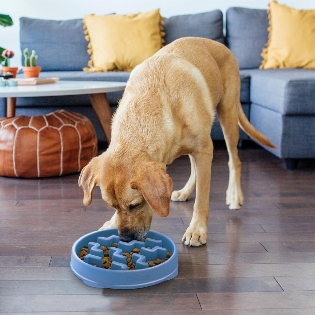 R0BTECH Hound Fun Feeder Slo Bowl – Large 4‑Cup Capacity, Slow Feeding, Medium to Large Dogs, Non‑Slip, Blue, Notch Pattern