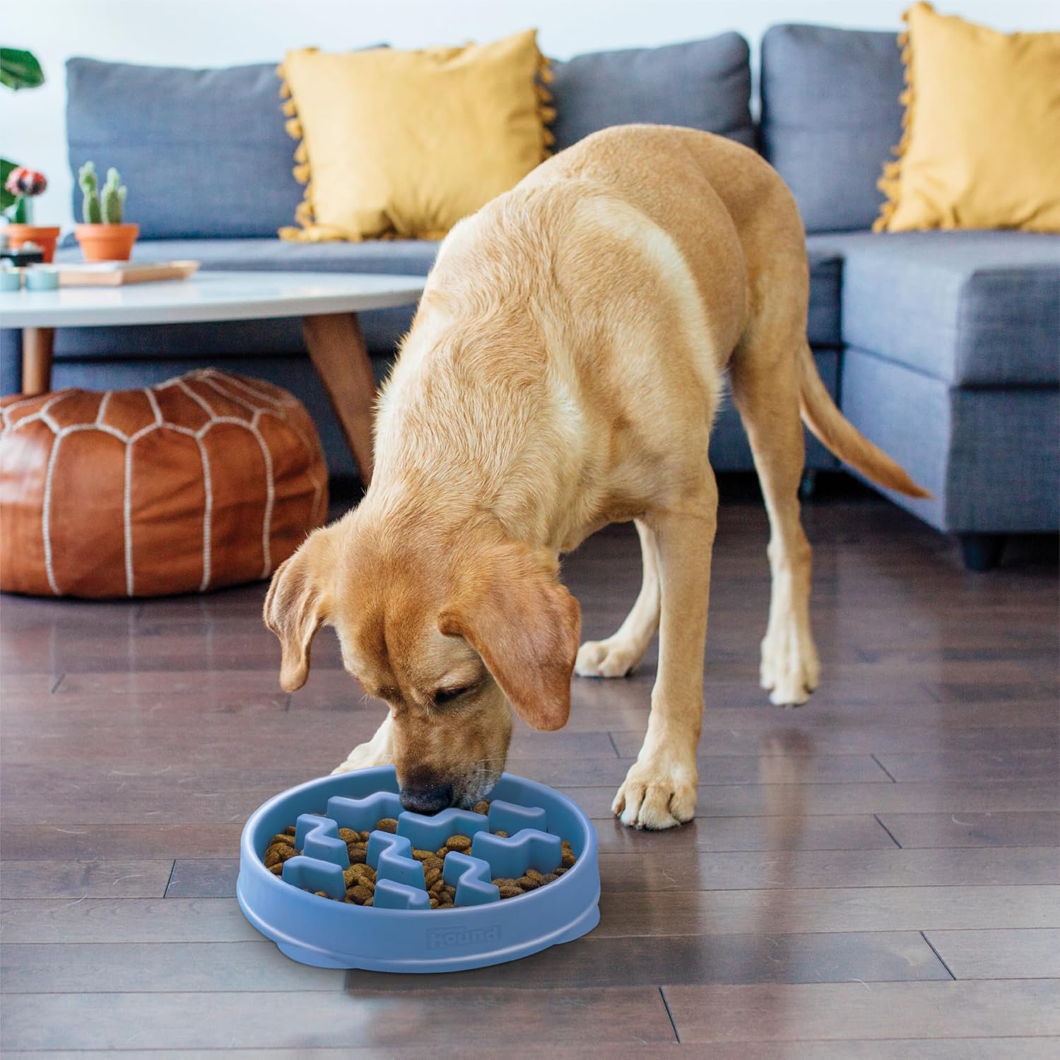 R0BTECH Hound Fun Feeder Slo Bowl – Large 4‑Cup Capacity, Slow Feeding, Medium to Large Dogs, Non‑Slip, Blue, Notch Pattern