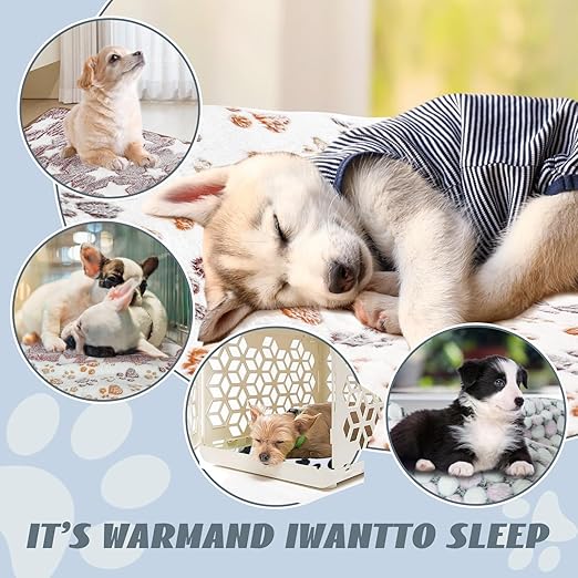 R0BTECH 6 Pcs Absorbent Guinea Pig Blankets Washable Small Animal Fleece Bedding Cage Liners Reusable Pet Pee Pad Sleep Mat Pad Cover for Hamster Ferret Rabbit Chinchilla Hedgehog (16"x24")