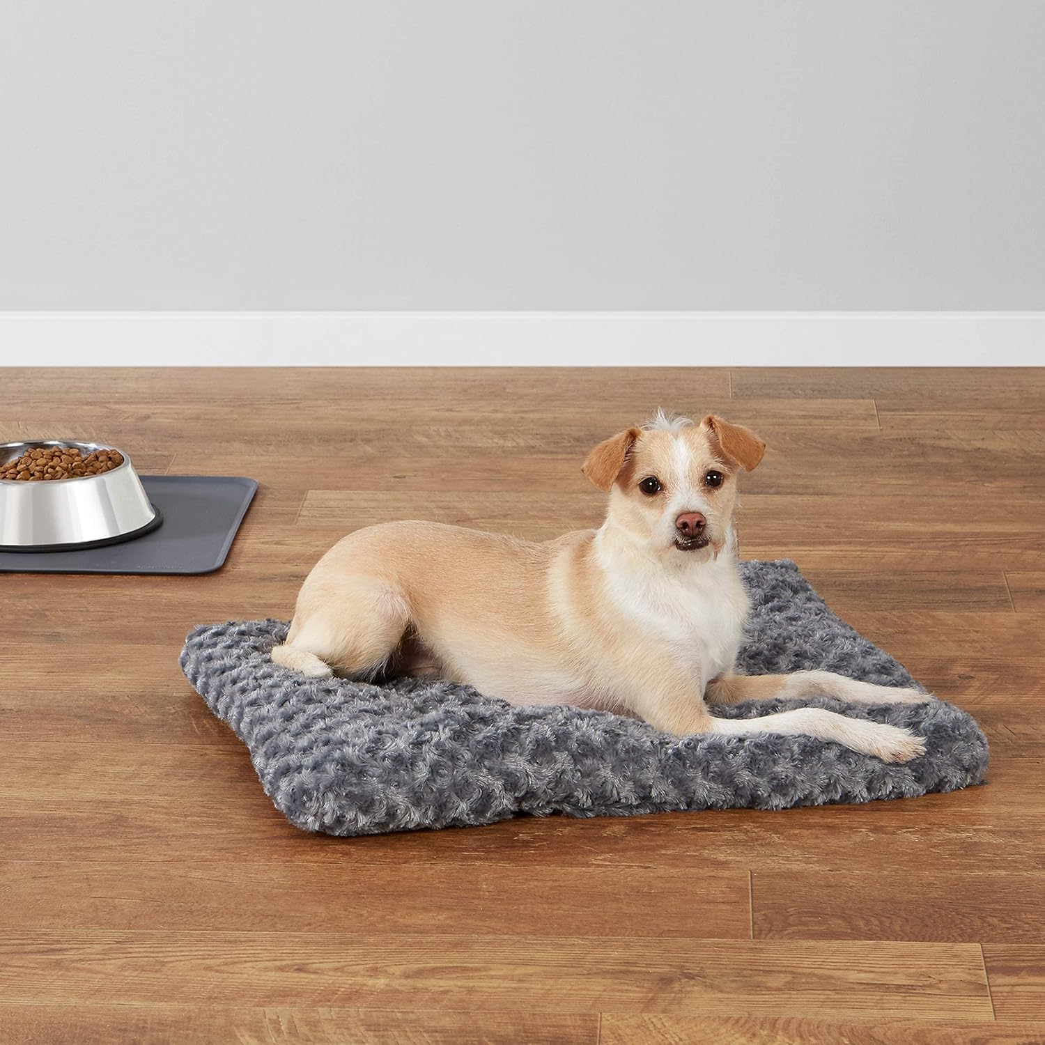 R0BTECH Basics Washable Cat and Dog Bed and Crate Pad, Indoor, Easy to Clean, 23" x 18" x 2.5", Gray